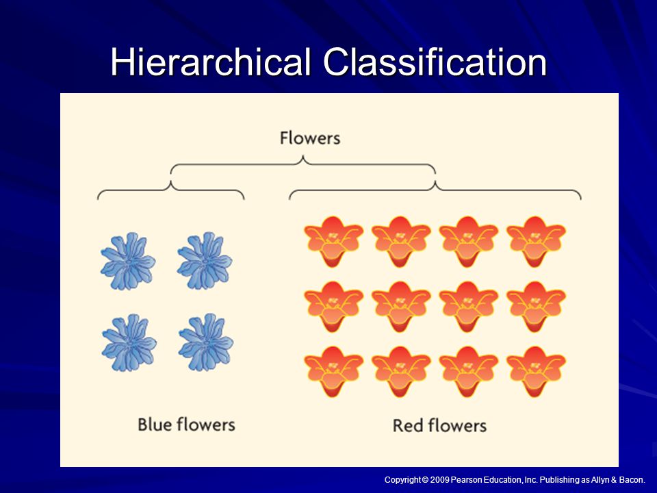 Classification psychology piaget sale